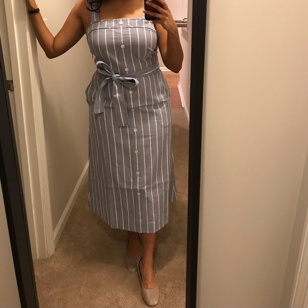 Everlane Cotton weave Tank Picnic Dress